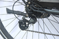 12 &quot;350 एलबी 400 एलबी व्यक्ति 200w ई बाइक के लिए पोर्टेबल इलेक्ट्रिक बाइक फैट टायर