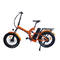 48 वोल्ट 500 वाट इलेक्ट्रिक बाइक 10.4Ah 250w 48v 20ah Ebike 48v इलेक्ट्रिक फोल्डिंग साइकिल