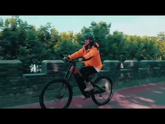 MB-01 BICICLETA ELETRICA पूर्ण सस्पेंशन इलेक्ट्रिक बाइक मध्य अवशोषक 27.5 इंच इलेक्ट्रिक बाइक 250w