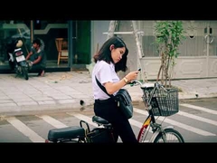 250w कम लागत वाली 48v एलसीडी डिस्प्ले सिटी इलेक्ट्रिक डर्ट बाइक EU 20 इंच 36V इलेक्ट्रिक बाइक