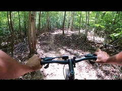 चीन में 250W 750W फैट टायर हब मोटर यूके वेयरहाउस इलेक्ट्रिक बाइक 29