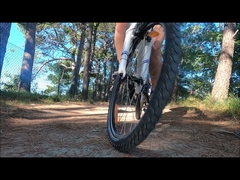 रोथर लीकट्रेच ईयू वेयरहाउस उच्च गुणवत्ता वाली इलेक्ट्रिक साइकिल कीमत कम 36v बैटरी इलेक्ट्रिक साइकिल