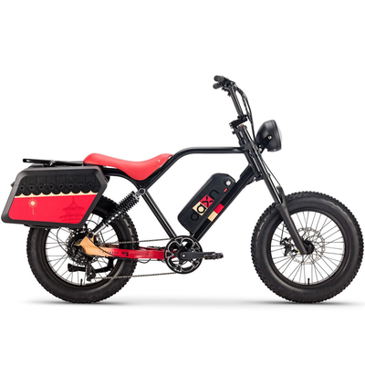 वयस्कों के लिए 250W 750w Elektrische Fiets साइकिल बैटरी 48v 20AH फैट टायर